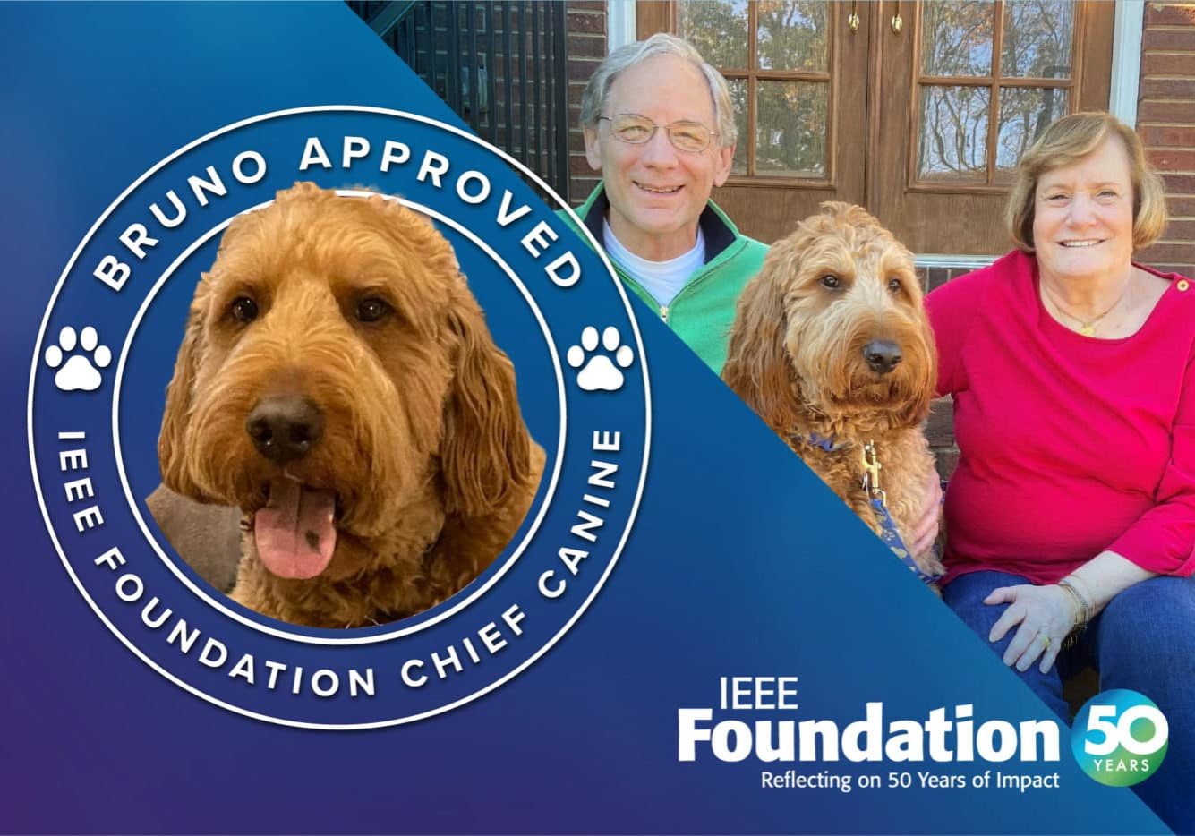 IEEE Foundation Bruno BlogHeader IEEE Foundation Bruno BlogHeader